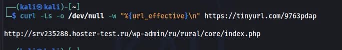 Resolución de tinyurl