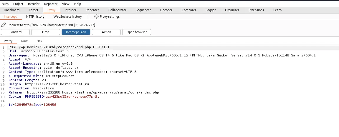 Burp Suite interceptando datos
